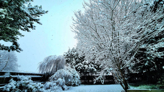 A snowy garden view from a handmade jewellery workshop in Scotland